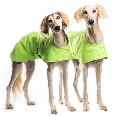 DG RACING WARM UP BLANKET “SAFETY GREEN”