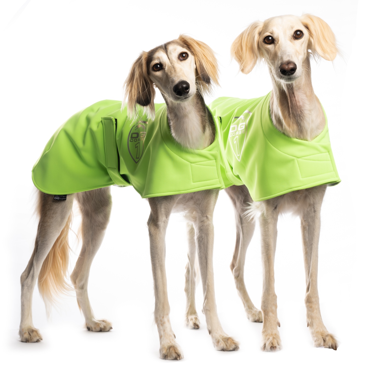 DG RACING WÄRMDECKE "SAFETY GREEN