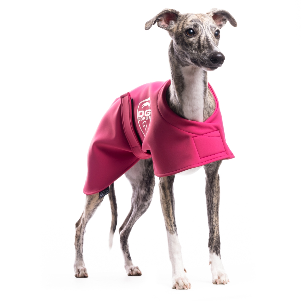 DG RACING WARM UP BLANKET "PINK FLAMBE"