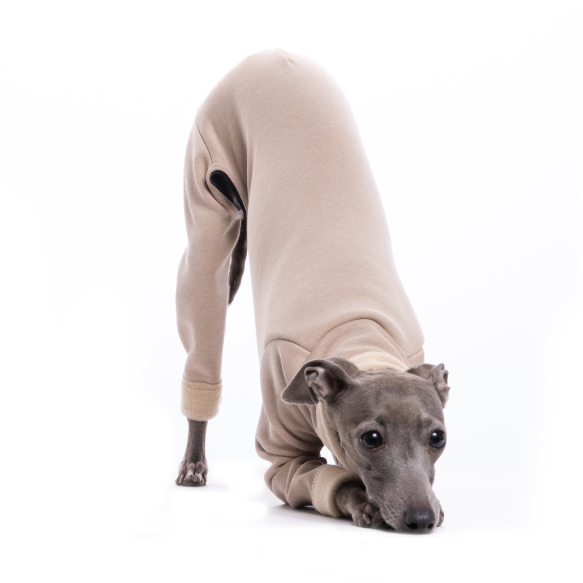 DG URBAN WARMKEEPER BODY "PEYOTE"