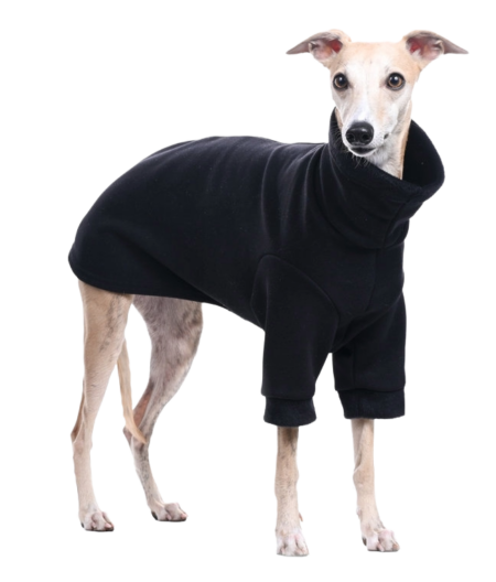 DG BASIC WARMKEEPER SWEATSHIRT „BLACK