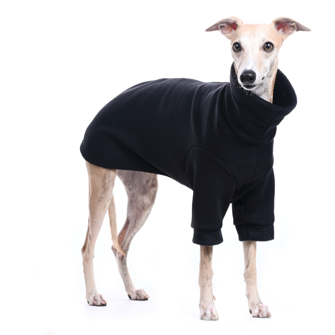 DG BASIC WARMKEEPER SWEATSHIRT "BLACK