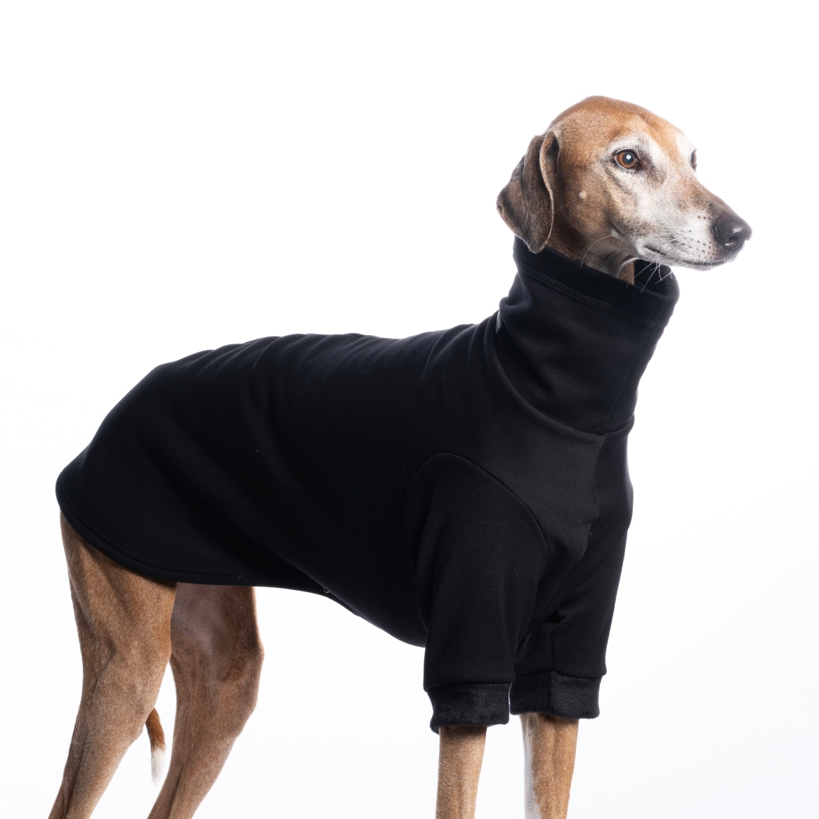 DG BASIC WARMKEEPER SWEATSHIRT "BLACK - Obrázek 2