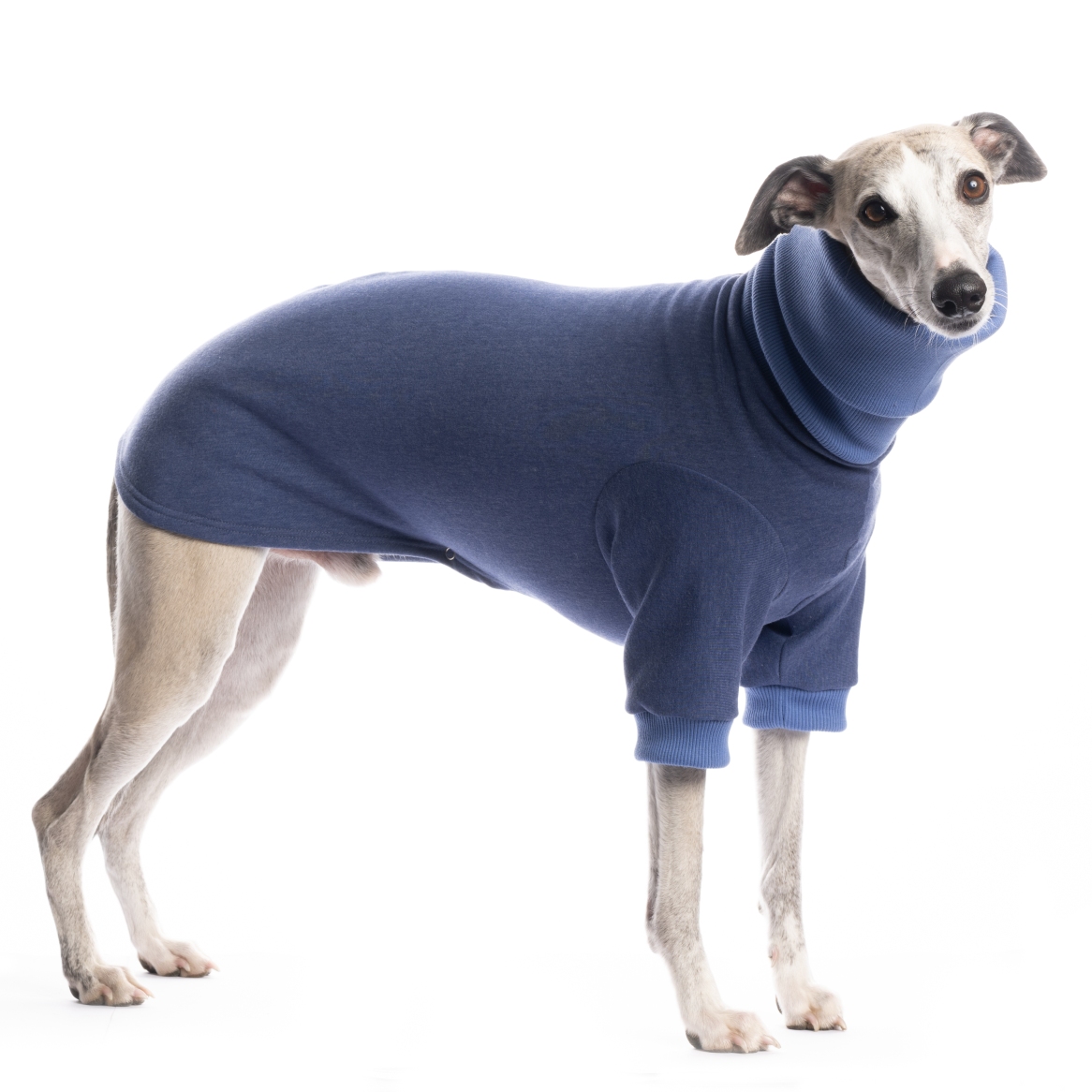 DG BASIC WINTER SWEATSHIRT "DENIM