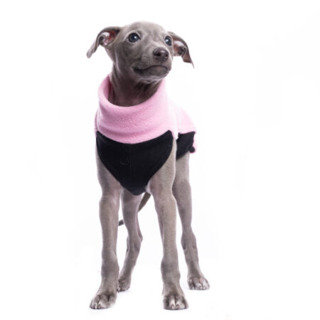 DG IG PUPPY TOP “LIGHT PINK”