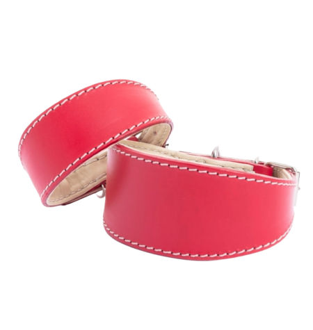 DG SIMPLE LEDERHALSBAND „RED