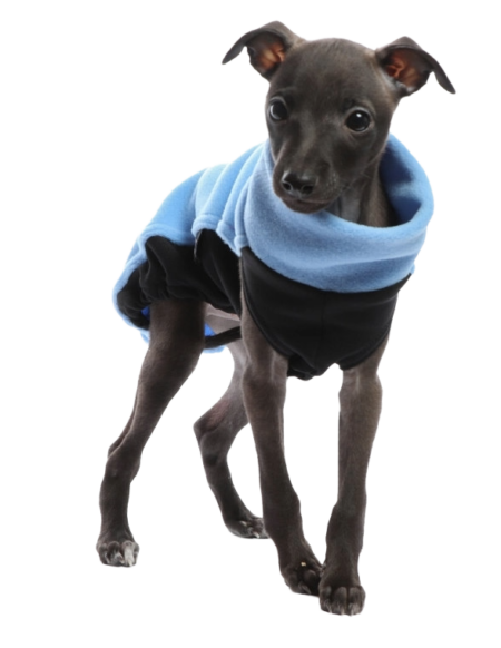DG IG PUPPY TOP “SKY BLUE”