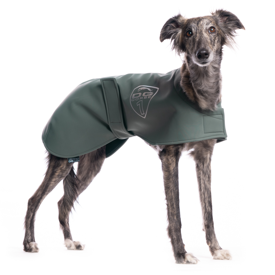 DG RACING WARM UP BLANKET "DARK FOREST"