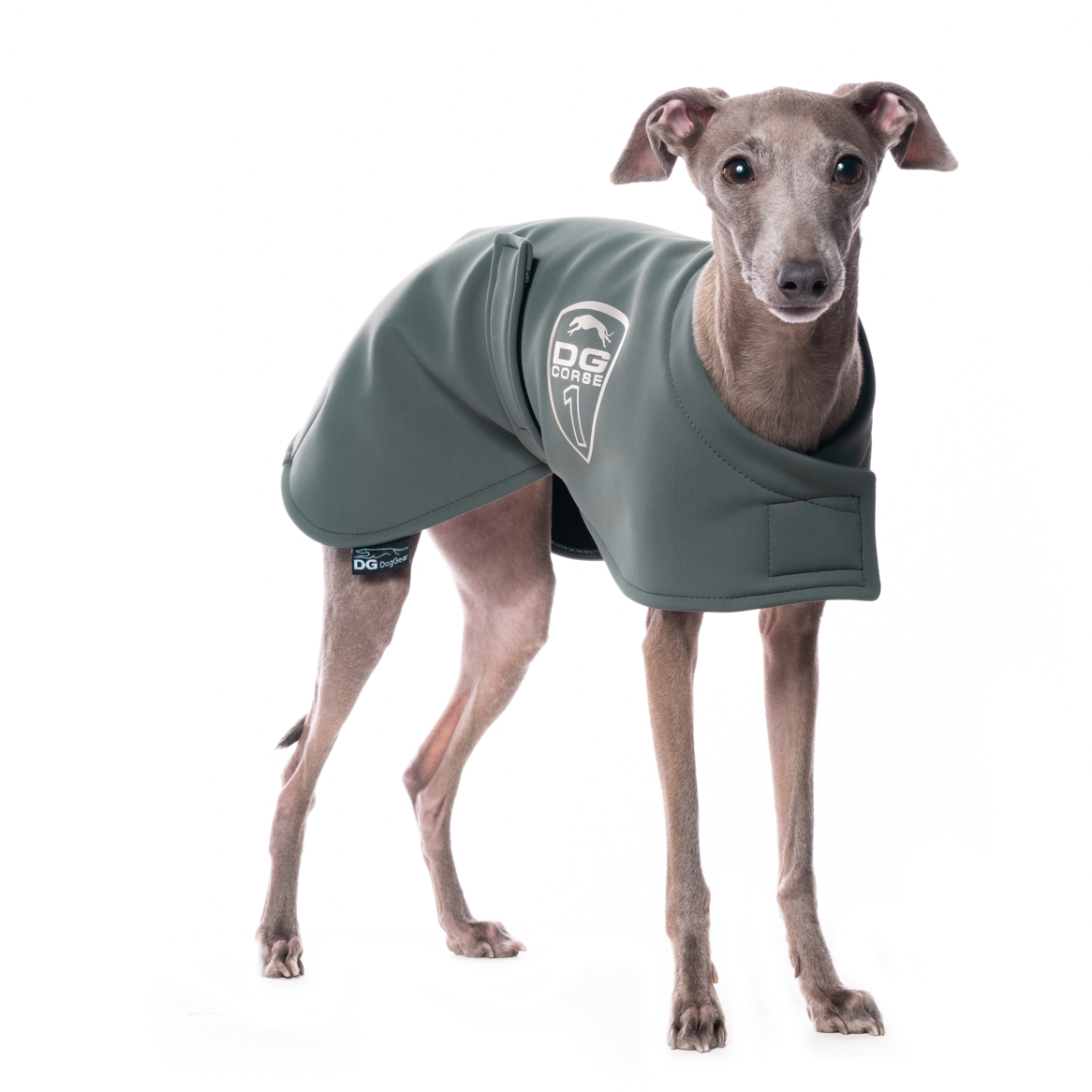 DG RACING WARM UP BLANKET "DARK FOREST" - Image 2