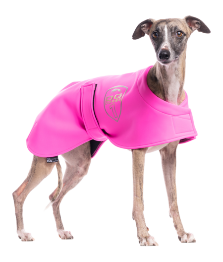DG RACING DEČKA „NEON PINK