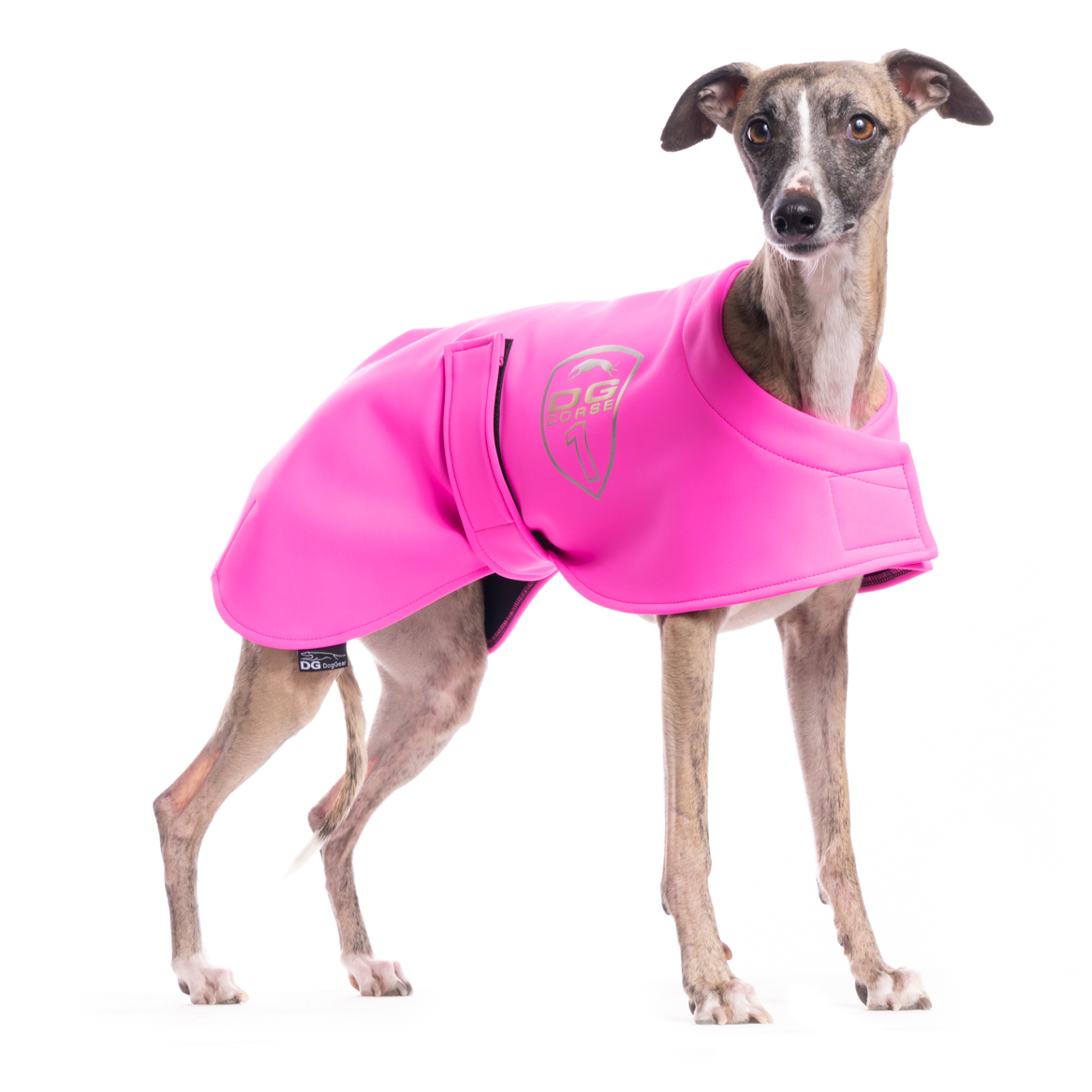 DG RACING DEČKA "NEON PINK