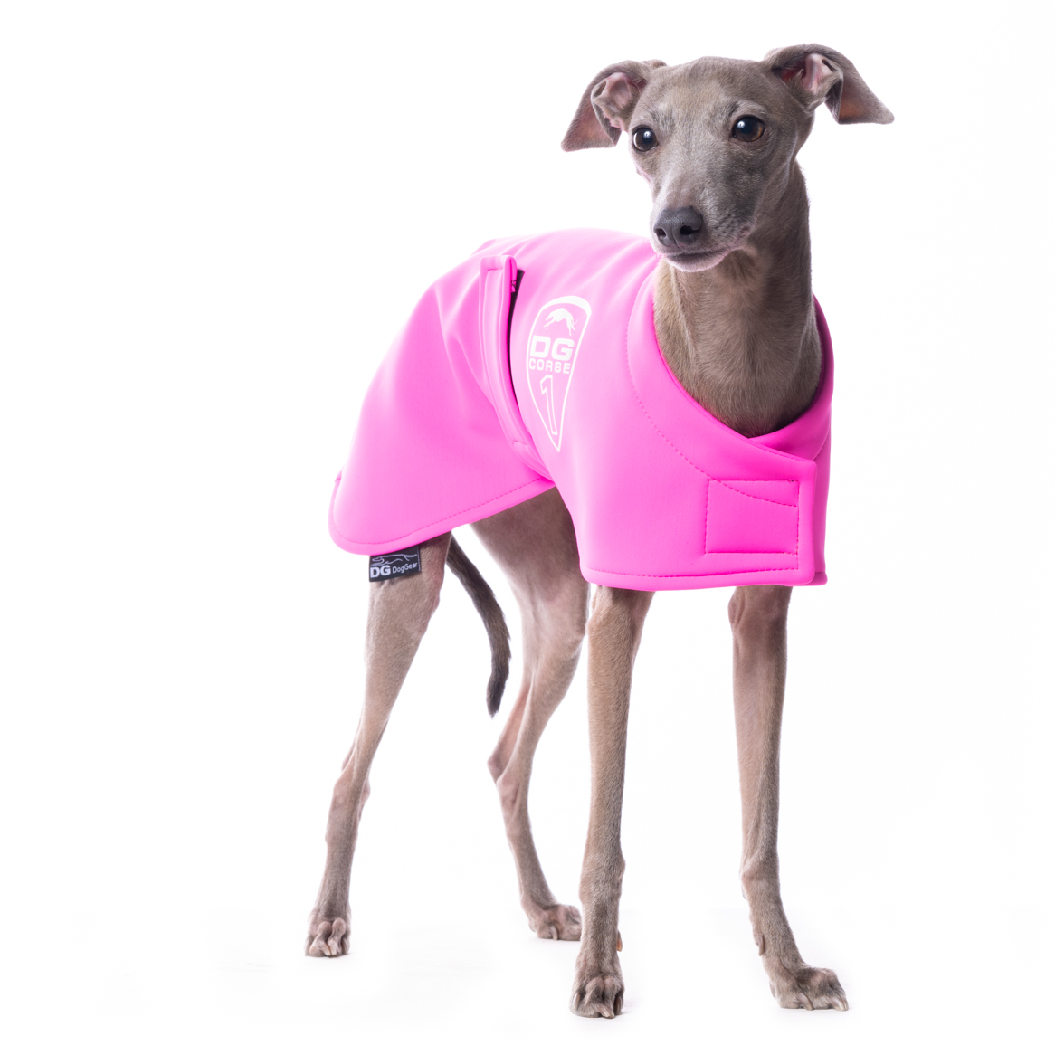 DG RACING DEČKA "NEON PINK - Obrázek 2