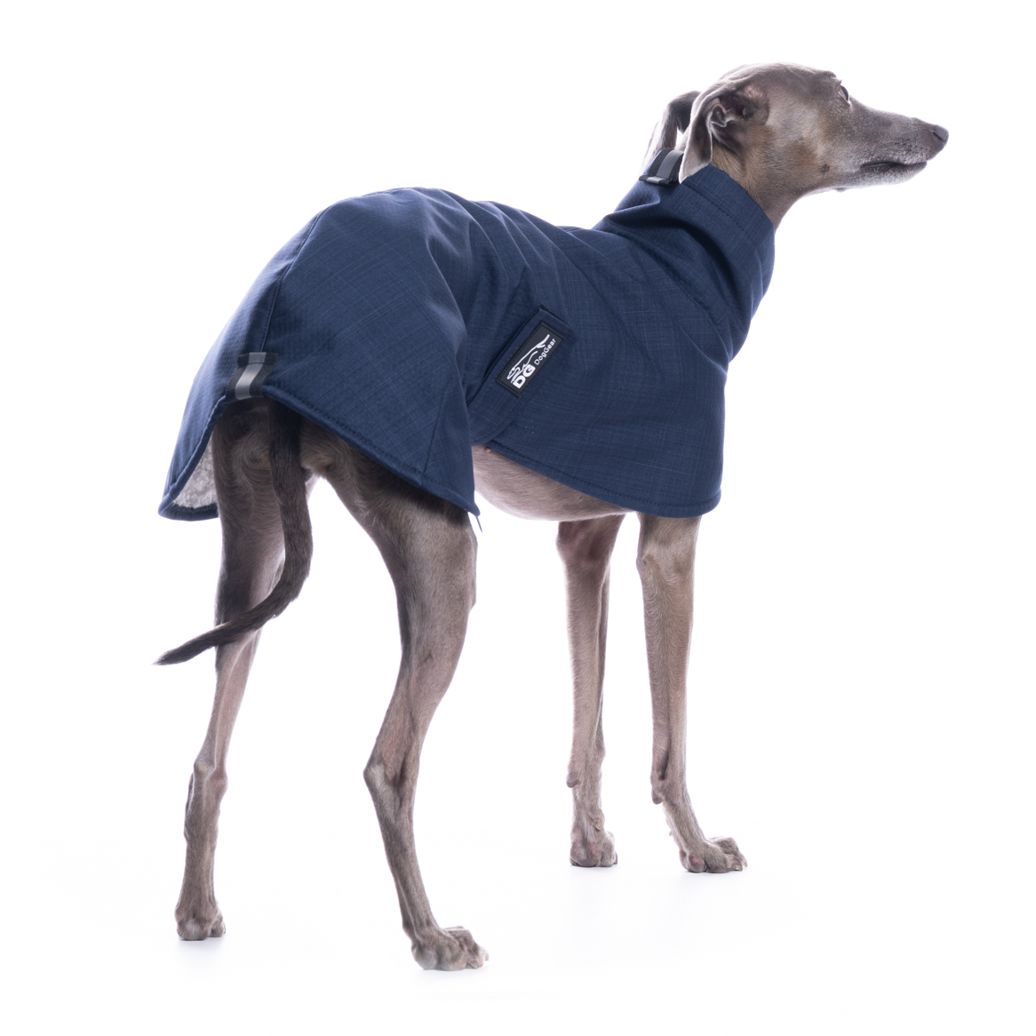 DG BASIC JACKE "PAEGANT BLUE" – Bild 4