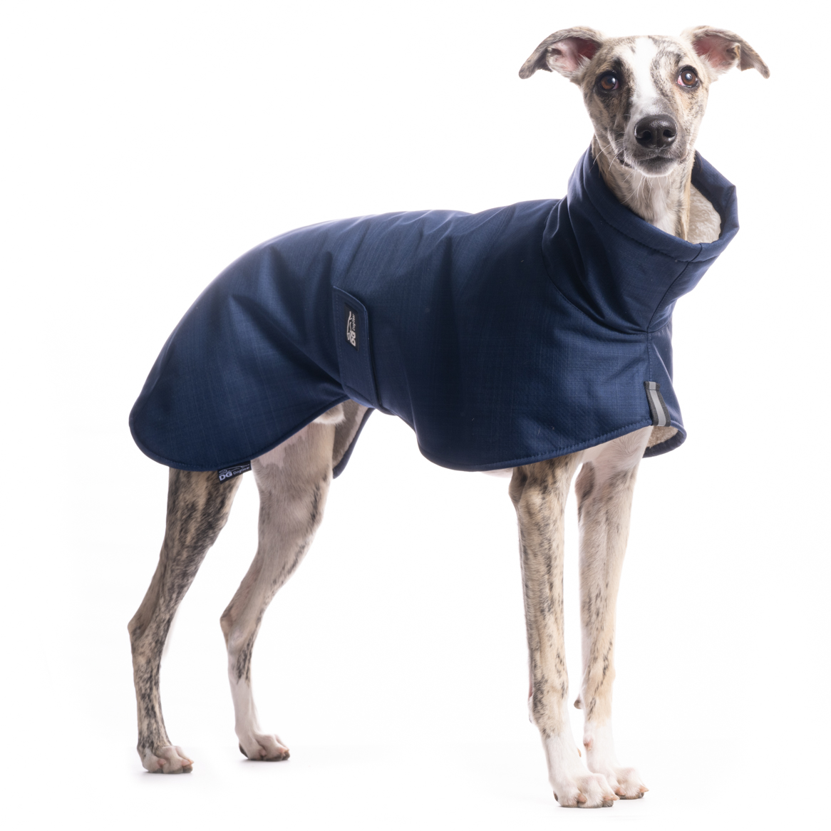 DG BASIC JACKE "PAEGANT BLUE"