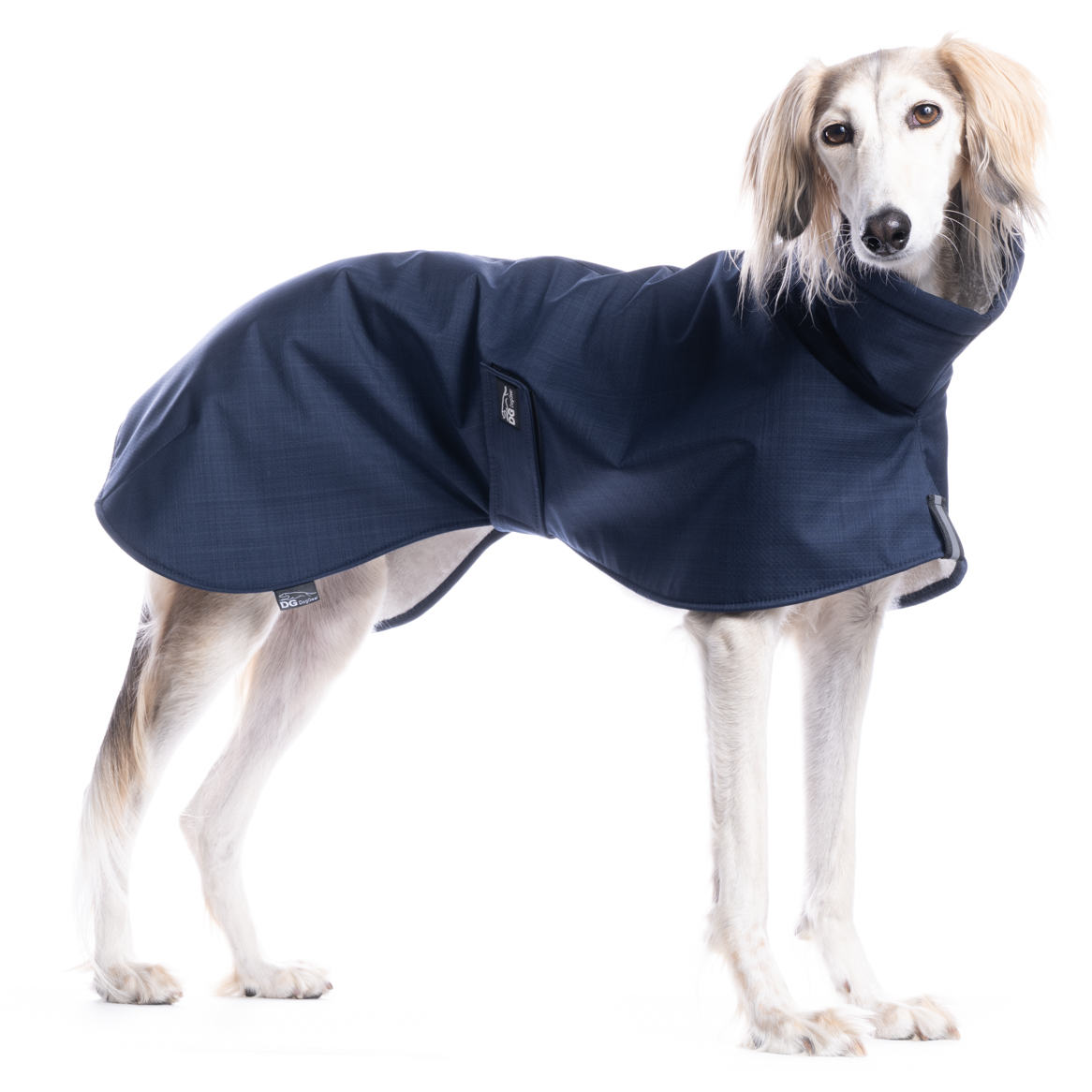 DG BASIC JACKE "PAEGANT BLUE" – Bild 2