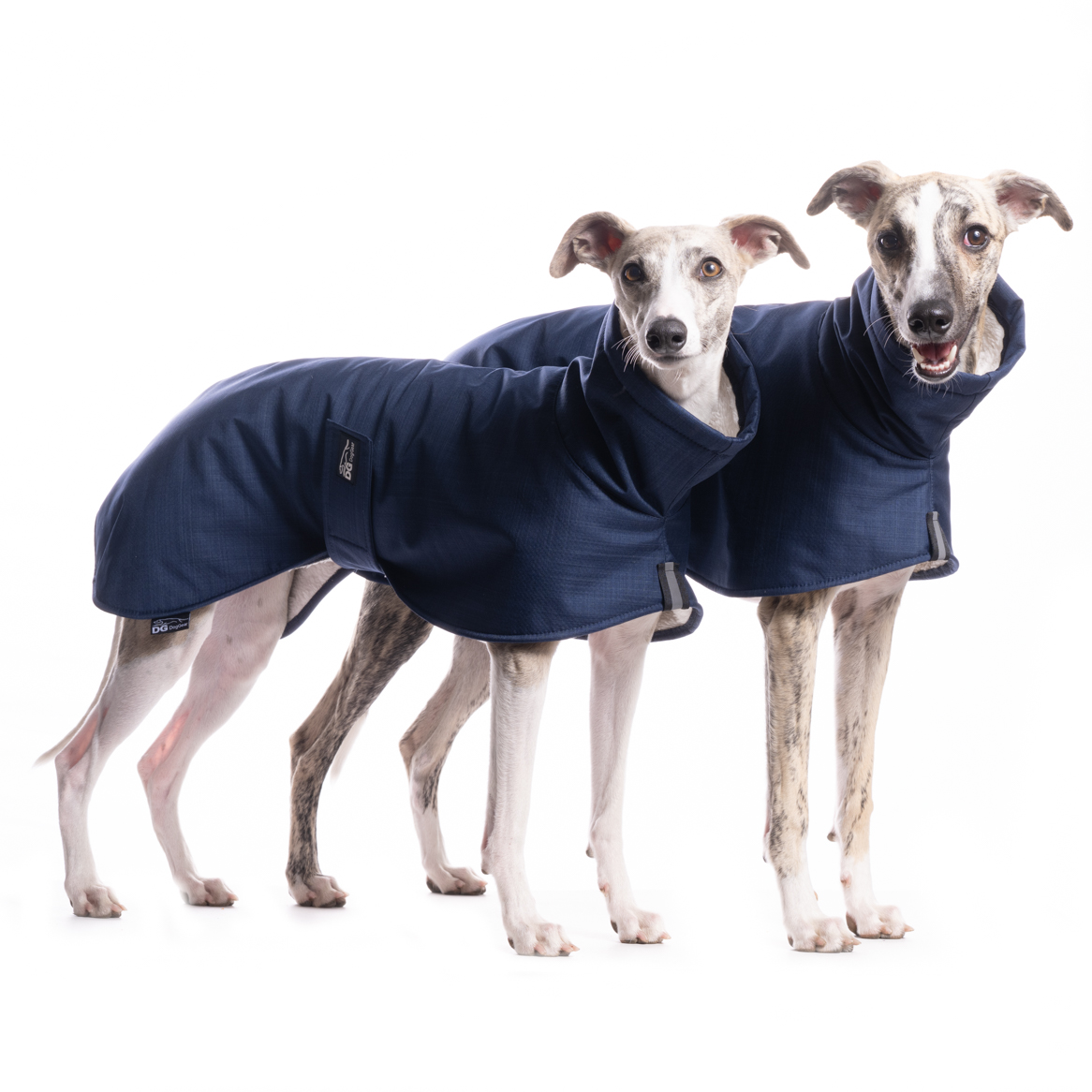 DG BASIC JACKE "PAEGANT BLUE" – Bild 3