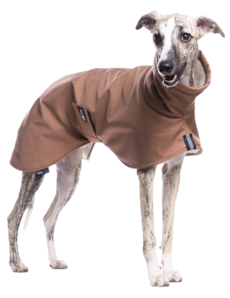 DG BASIC JACKET “CHIPMUNK”