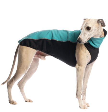 DG OUTDOOR TOP SOFT SHELL “AQUA”