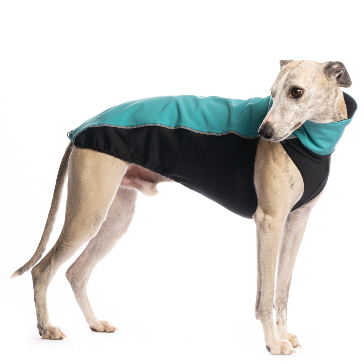 DG OUTDOOR TOP SOFT SHELL "AQUA