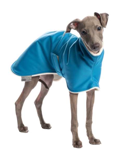 DG IG PUPPY BUNDA START “BLUE”