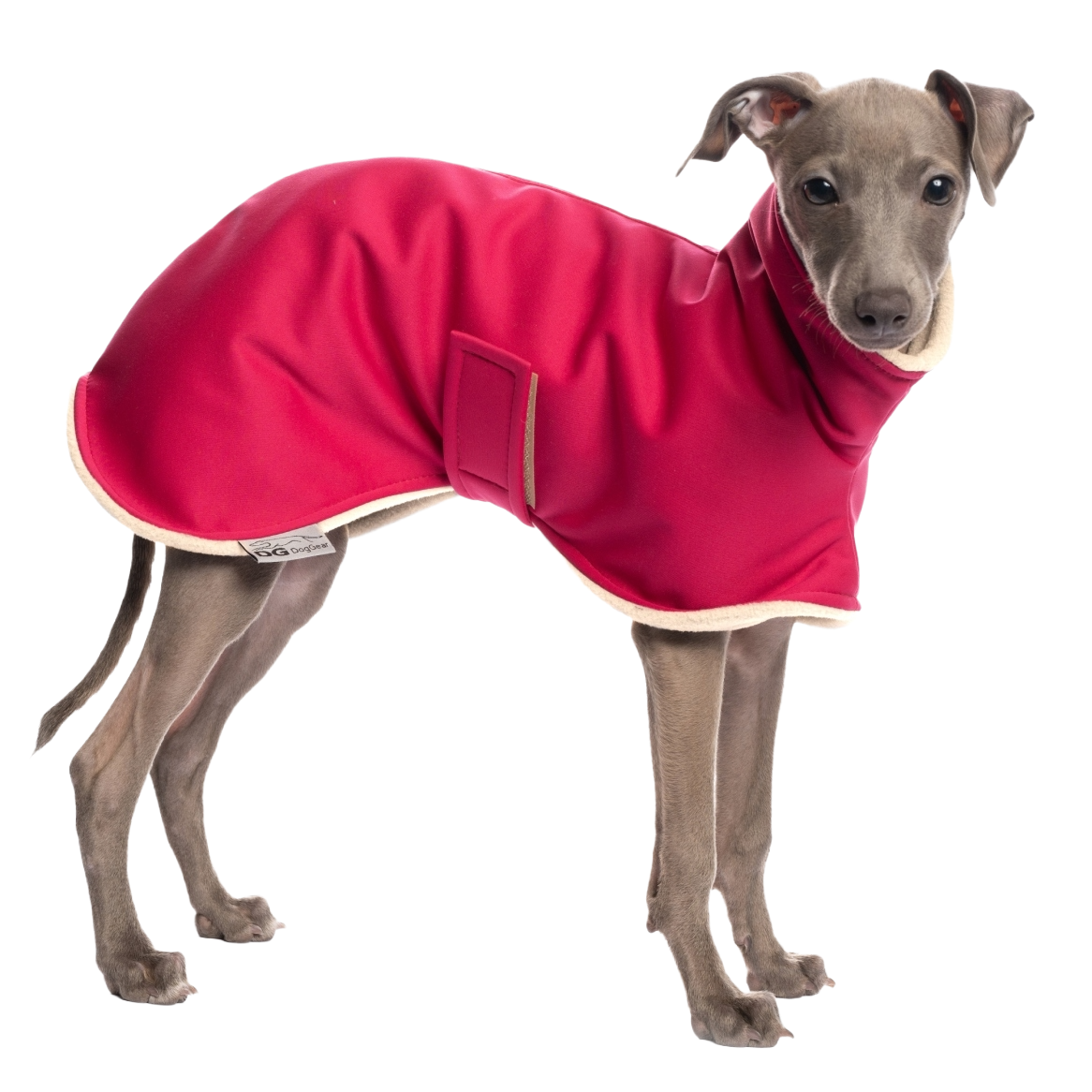 DG IG PUPPY BUNDA START "PINK
