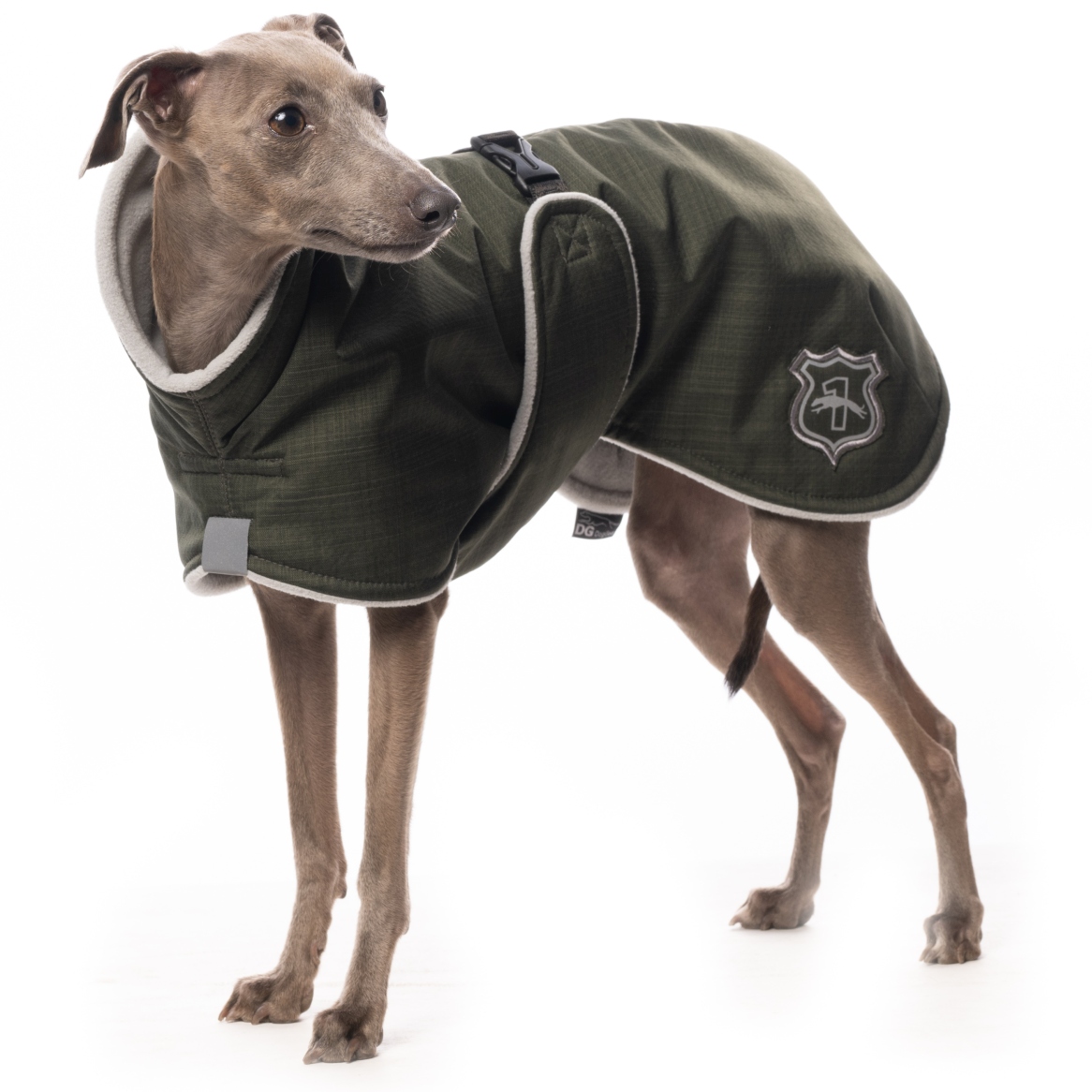 DG BASIC PLUS JACKET "KAMBABA" - Image 2