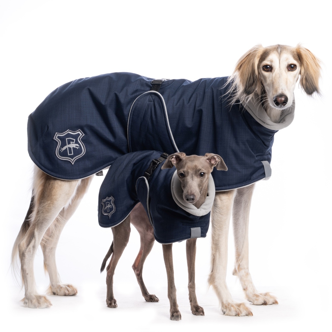 DG BASIC PLUS JACKE "PAEGANT BLUE" - Image 3