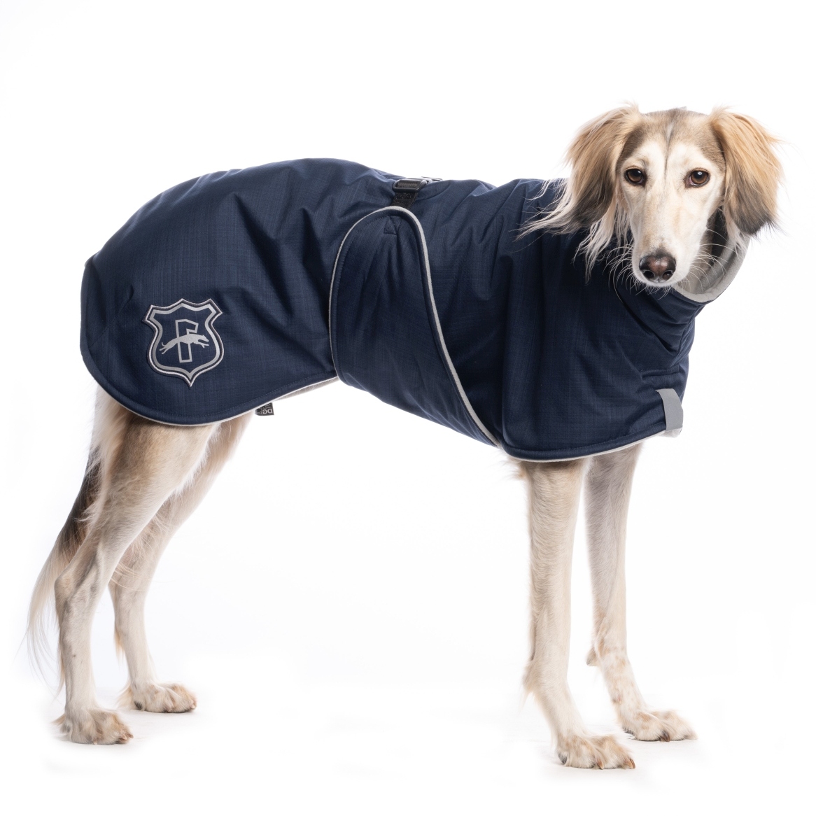 DG BASIC PLUS JACKE "PAEGANT BLUE" - Image 2