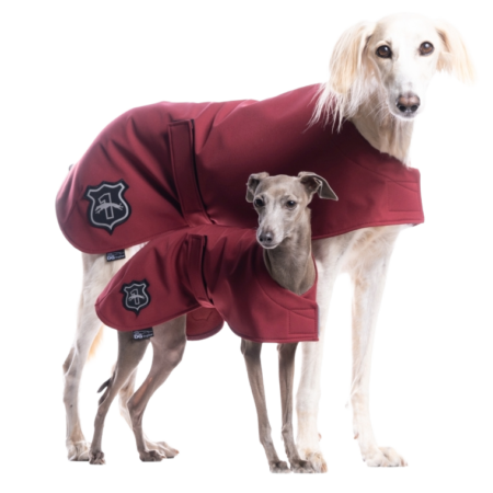 DG BASIC BLANKET “RUMBA RED”