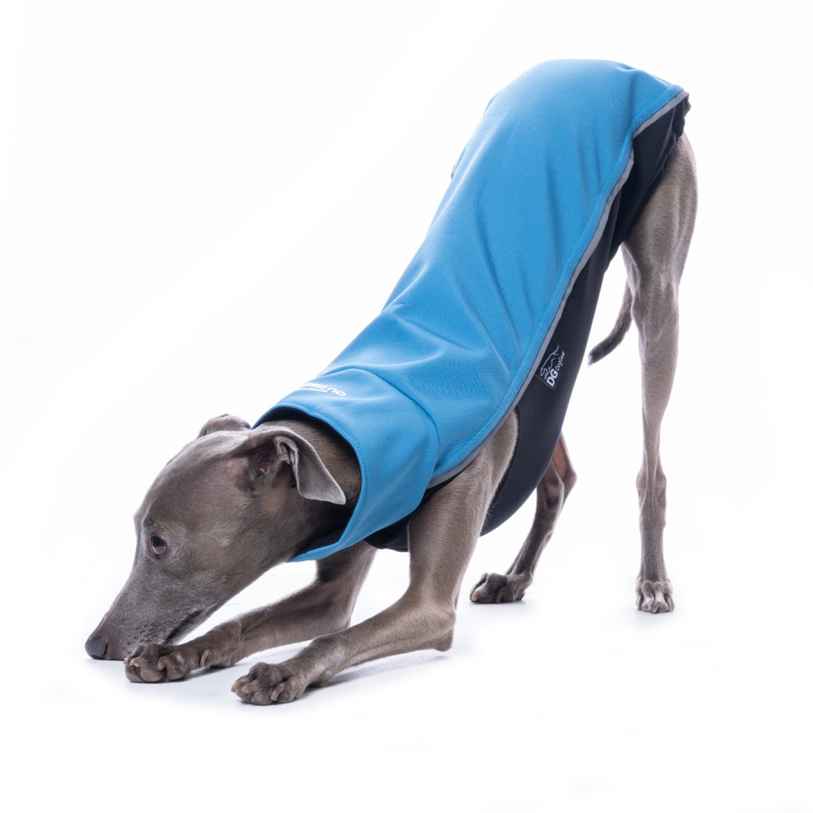 DG OUTDOOR TOP SOFT SHELL "MEDDITERIAN BLUE" - Image 2
