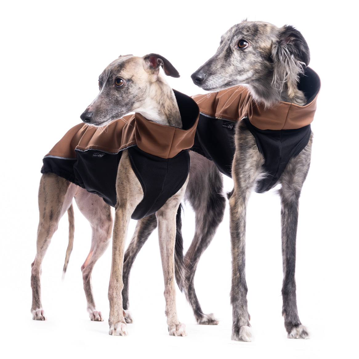DG OUTDOOR TOP SOFT SHELL "MOCHA BISQUE" - Image 2