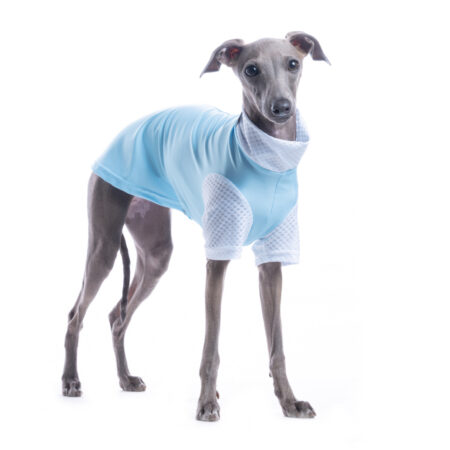 DG SUNVEIL™ UPF50+ TEE  AIRY BLUE