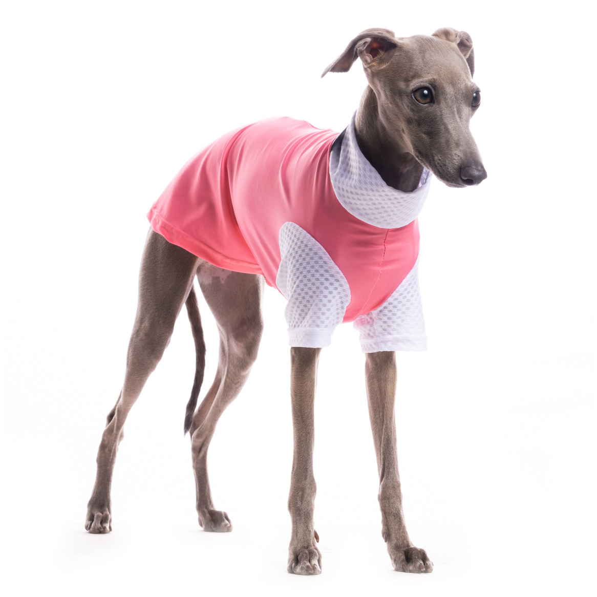 DG SUNVEIL™ UPF50+ TEE PINK LIMONADE - Obrázek 2