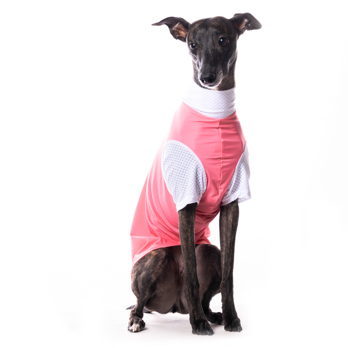 DG SUNVEIL™ UPF50+ TEE PINK LIMONADE - Obrázek 3