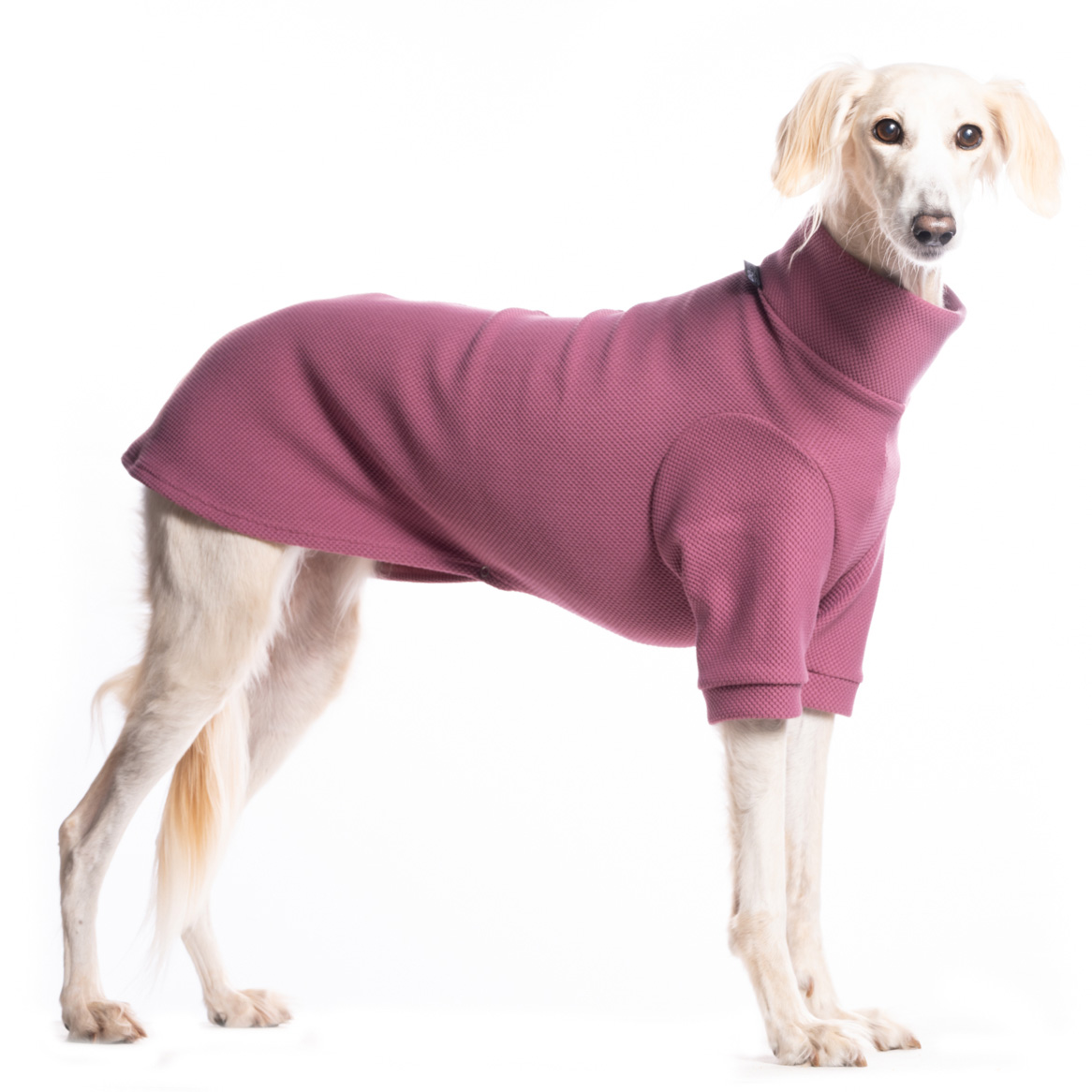 DG URBAN WINTER "ROSÉ SORBET"