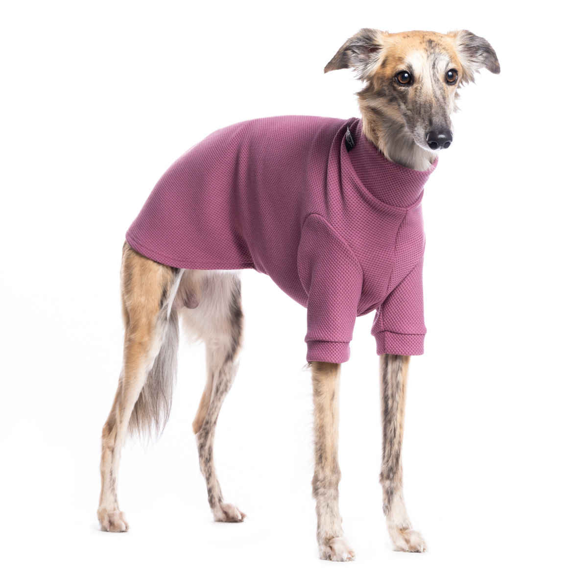 DG URBAN WINTER "ROSÉ SORBET" - Image 2