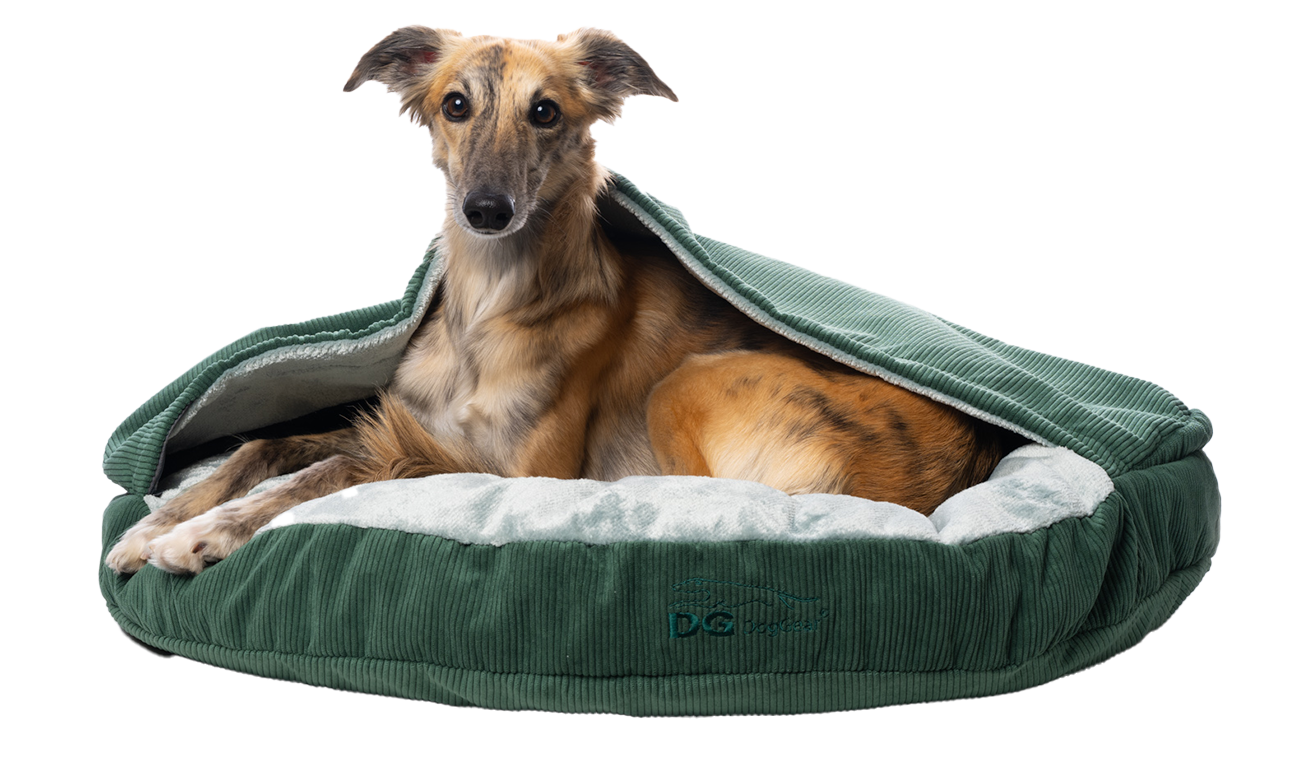 Hundebetten