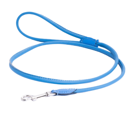 120 cm leash “BLUE”