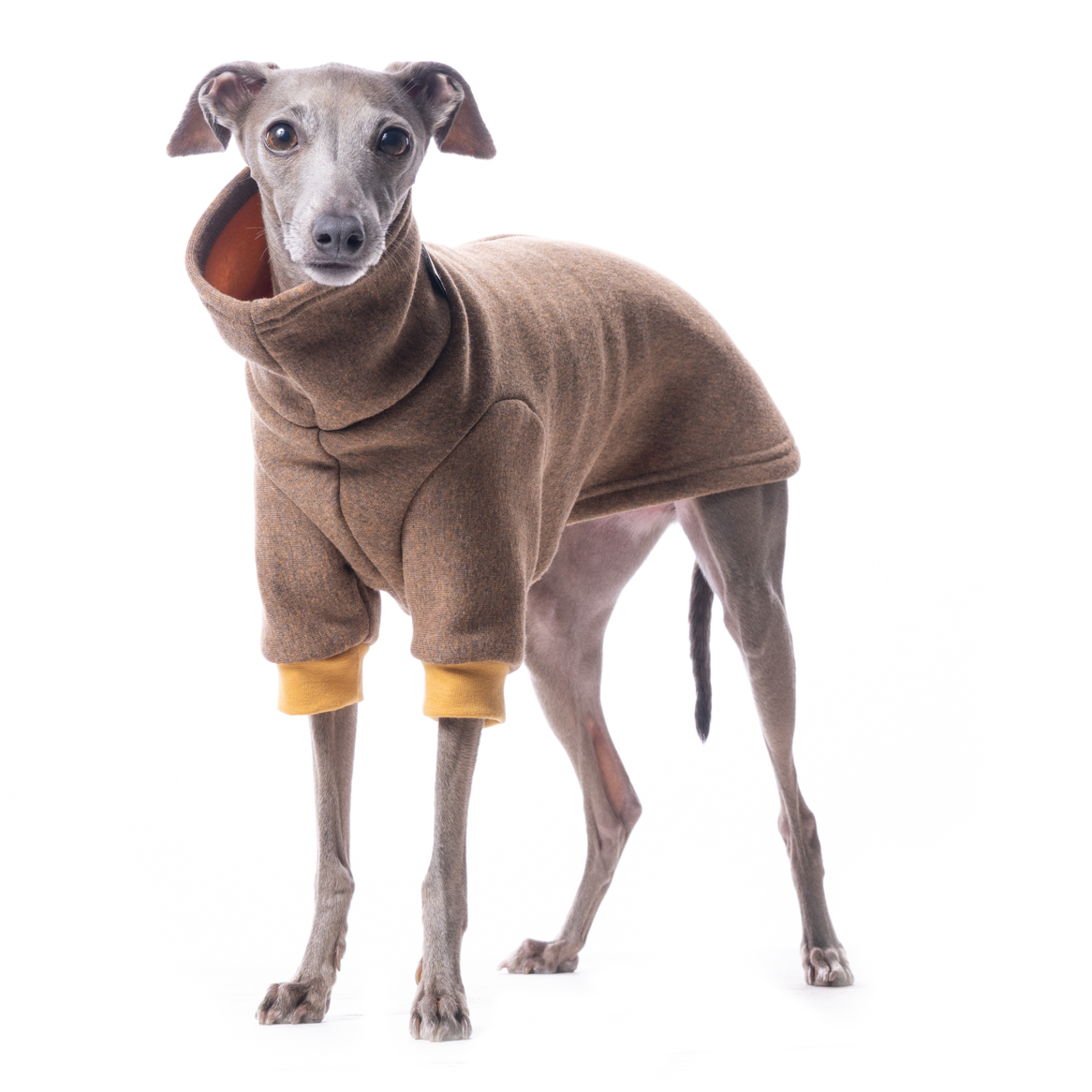 DG BASIC WINTER SWEATSHIRT CINNAMON – Bild 2