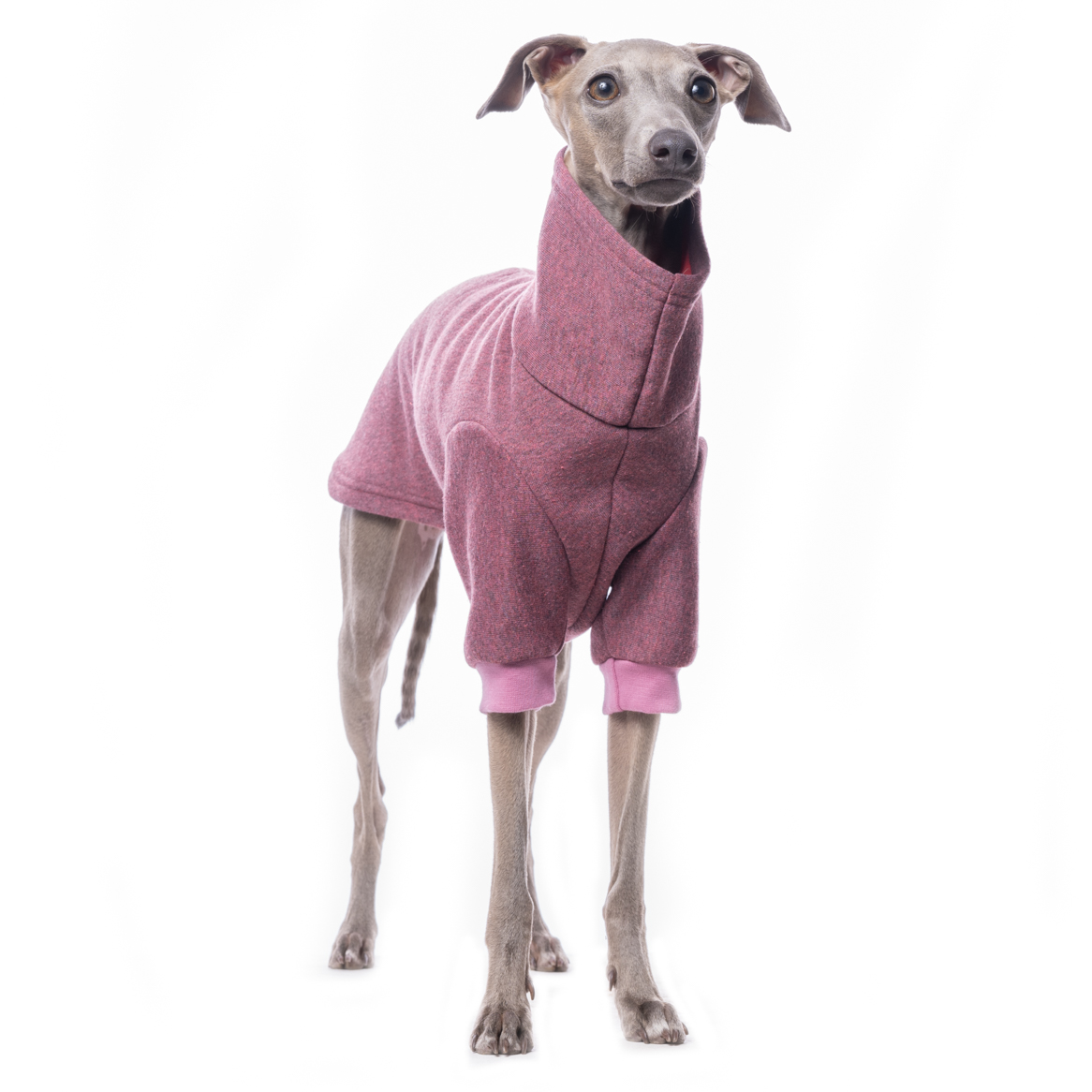 DG BASIC WINTER SWEATSHIRT PINK