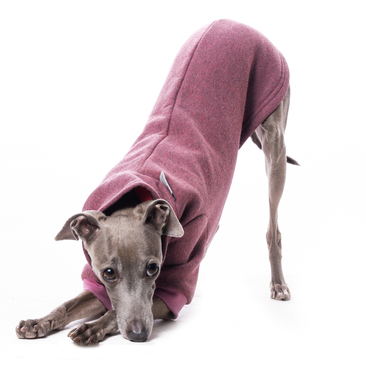 DG BASIC WINTER SWEATSHIRT PINK - Obrázek 2