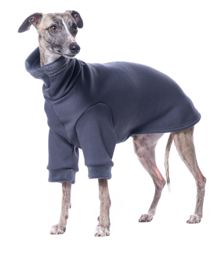 DG BASIC WARMKEEPER SWEATSHIRT SEABORN