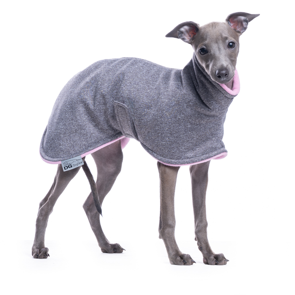 DG IG PUPPY JACKET START GREY/PINK