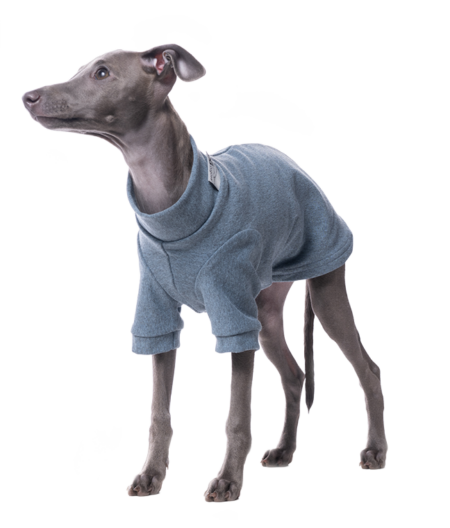 DG IG PUPPY SWEATHIRT BLUE