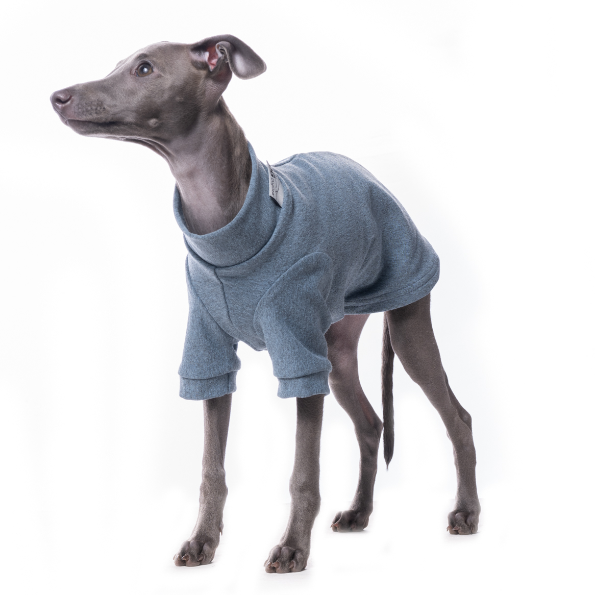 DG IG PUPPY SWEATHIRT BLUE