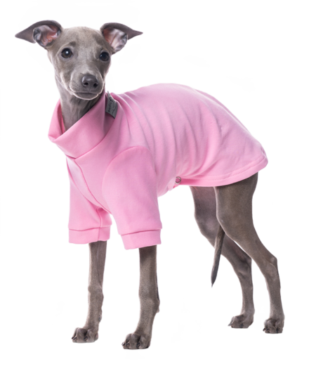 DG IG PUPPY SWEATHIRT PINK