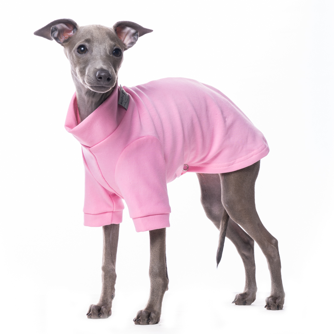 DG IG PUPPY SWEATHIRT PINK