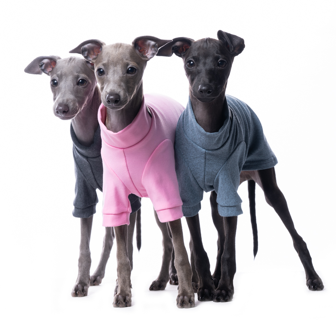 DG IG PUPPY SWEATHIRT PINK - Obrázek 2